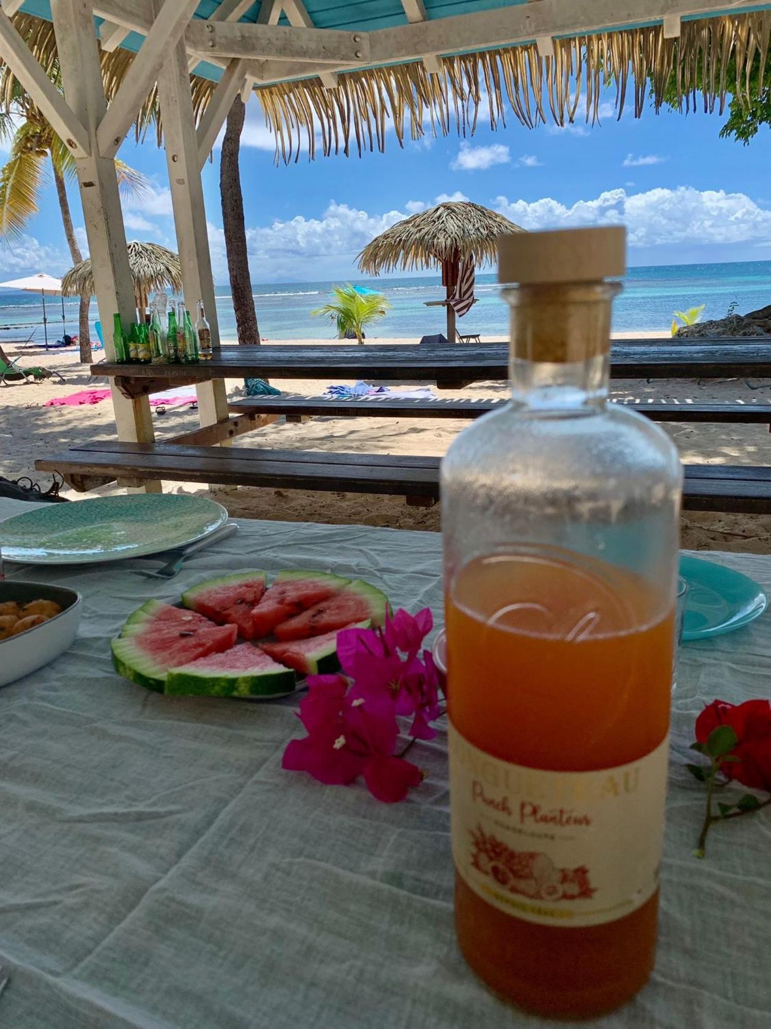 Studio Hibiscus Anse Des Rochers Saint Francois Eksteriør billede